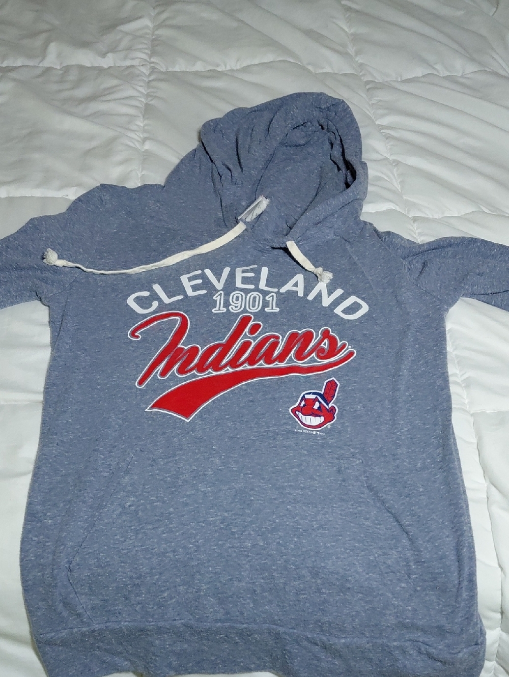 Cleveland Indians 1901 Pullover Hoodie - Gray Blue with Red Script
